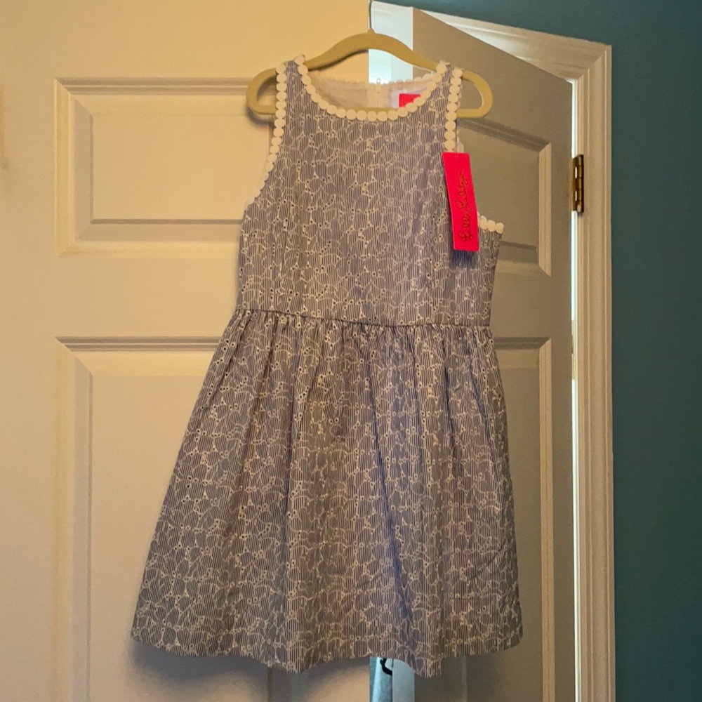 New lily pulitzer dress